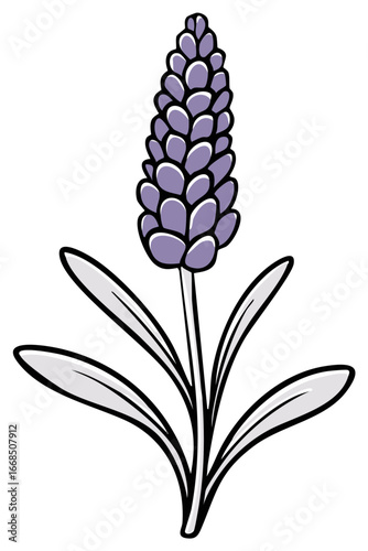 Stylized Lavender Flower Illustration, Isolated Single Bloom with Leaves, Botanical Graphic