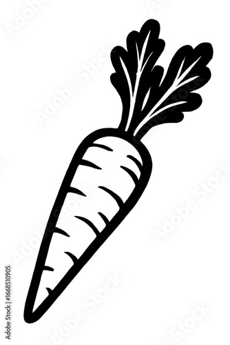 Fresh Carrot Root Vegetable - An Illustration for Organic Food and Healthy Eating