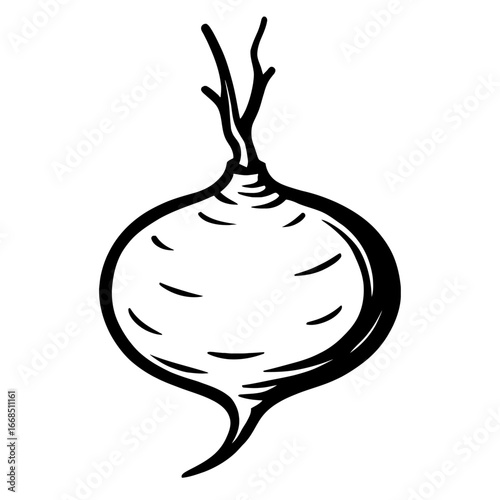 Fresh Turnip Vegetable - A Simple Illustration for Healthy Cooking and Organic Food