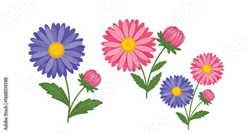 Vector illustration of colorful aster flowers with green leaves