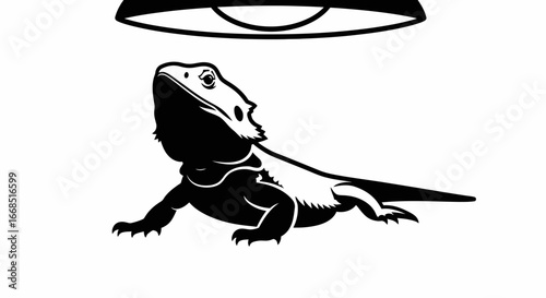 bearded dragon lizard basking under lamp, reptile pet, black and white illustration