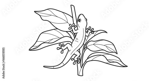 Wallpaper Mural gecko on branch with leaves line art, reptile illustration, nature drawing Torontodigital.ca