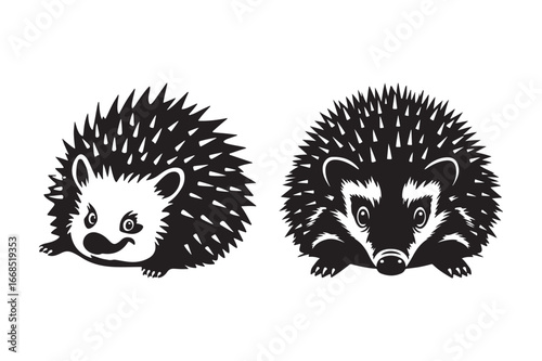 Two cute black and white hedgehogs facing different directions