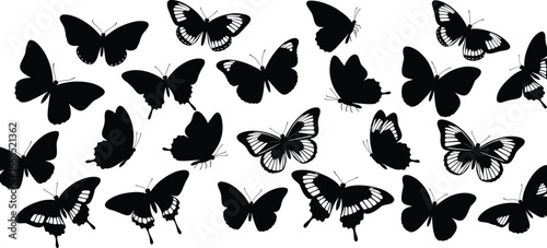 Collection of butterfly silhouettes, diverse wing shapes for design, nature, entomology, vector icons showcasing species variation and artistic inspiration