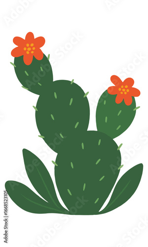 Cactus with flowers illustration isolated on white background
