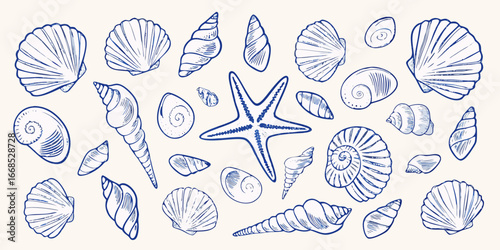 Hand Drawn Blue Seashells and Starfish Collection