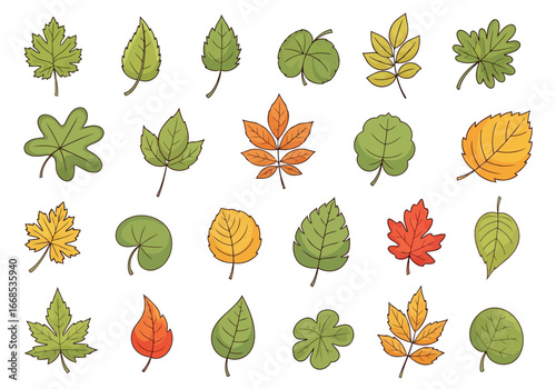 Vector illustration of collection of autumn leaves in various shapes and colors