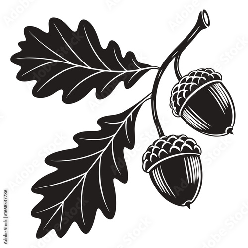 acorn and oak leaves