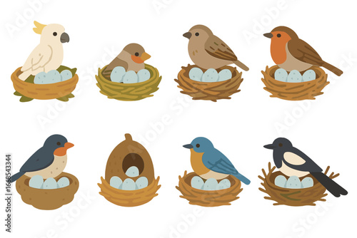 Bird Nest Icons. Flat vector mini-illustrations bird nests in colors children's illustrations: cockatoo nest, finch nest, sparrow