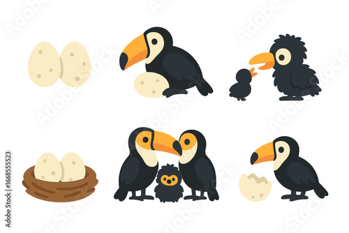 Toucan Family Icons. Flat vector mini-illustrations toucan chicks and eggs in colors children's illustrations: toucan eggs,