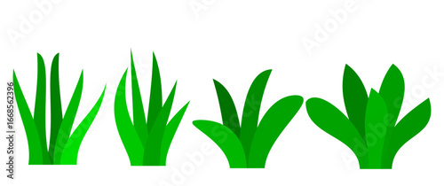 A collection of wild grass vectors in flat style and green colors. Wild grass illustrations.