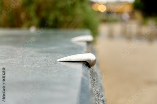 Silver slug