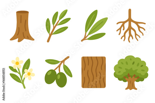 Olive Tree Anatomy Icons. Flat vector mini-illustrations olive tree anatomy in colors children's illustrations: olive trunk,
