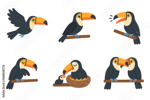 Toucan Behaviors Icons. Flat vector mini-illustrations toucan behaviors in colors children's illustrations: flying toucan, toucan