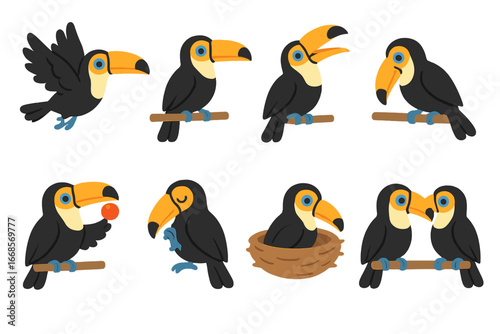 Toucan Behaviors Icons. Flat vector mini-illustrations toucan behaviors in colors children's illustrations: flying toucan, toucan