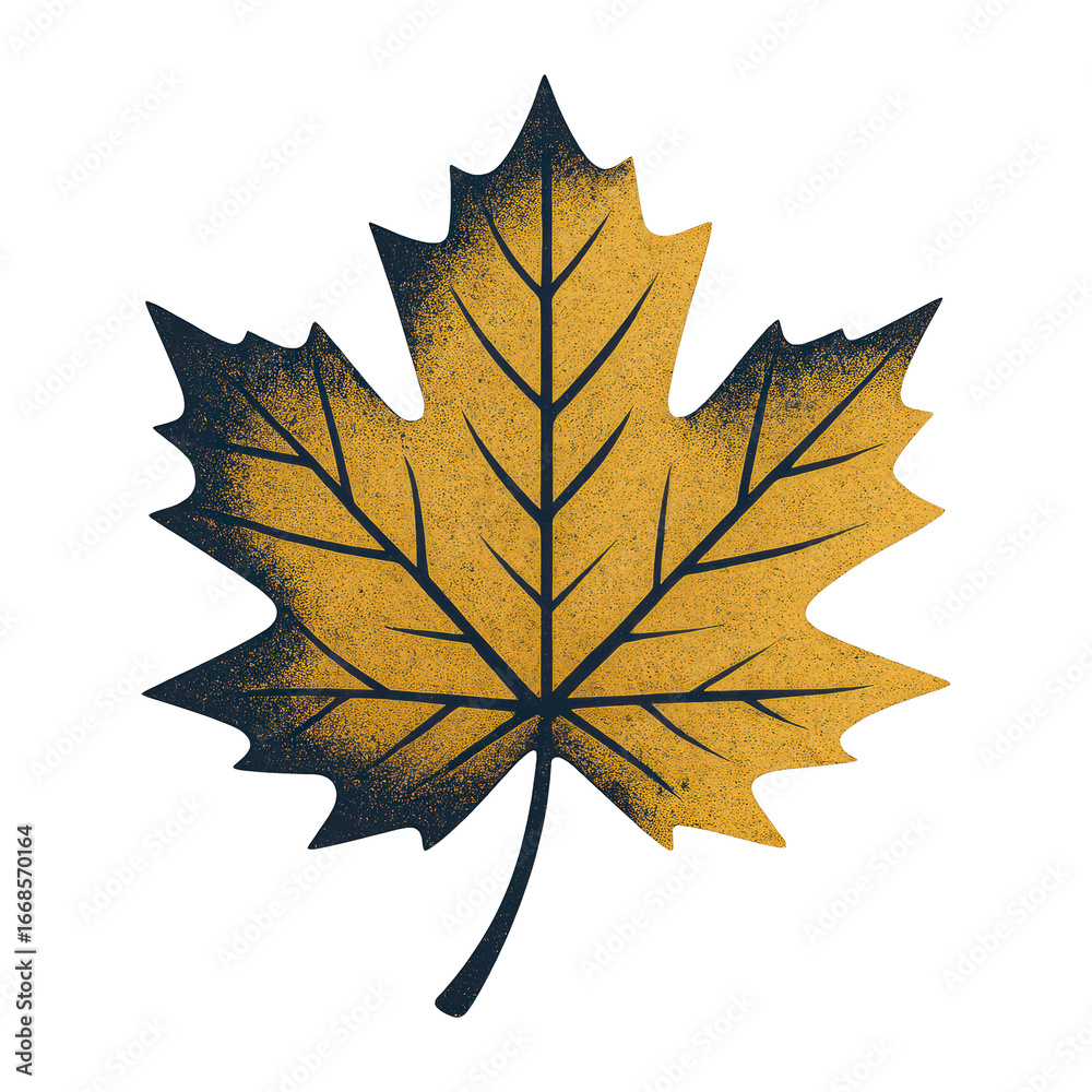 Fototapeta premium PNG Autumn leaf illustration art
