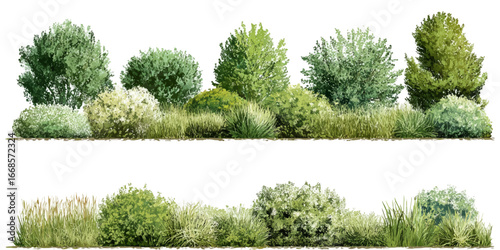 Collection of Beautiful Trees set – Isolated Cottonwood and Plane Trees, Transparent Background for Architectural and Garden Design