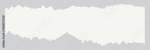 White torn paper edge isolated on gray. Ripped  paper strip with rough jagged edge perfect for design, texture, creative layout elements.  message label, banner, collage and text box. 
