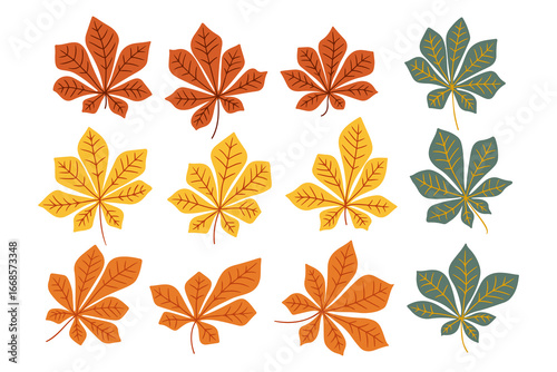 Set of colorful chestnut leaves in autumn shades arranged on white background. Concept of seasonal change, natural beauty and botanical variety