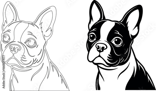 Line art and black & white vector illustration of French Bulldog in white background.