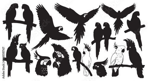 Collection of silhouettes of various parrots and macaws in different poses and flying with wings spread isolated on transparent background