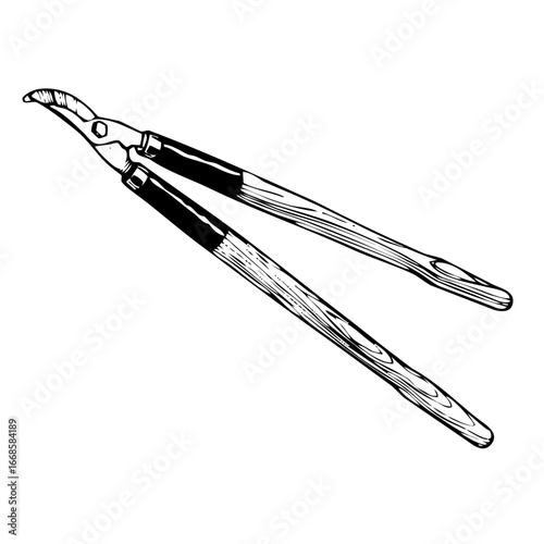 An illustrative vector of loppers, a garden tool used for pruning and cutting branches, on a white background