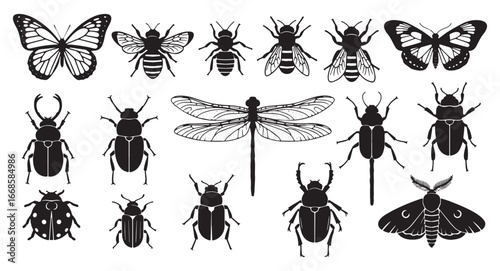 Collection of detailed black silhouette insect illustrations including butterflies bees beetles dragonflies and moths isolated on transparent background