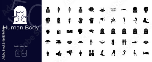 Human Body Solid Editable Icons set. Vector illustration in modern thin solid style of Human body icons: human body, human, body, etc