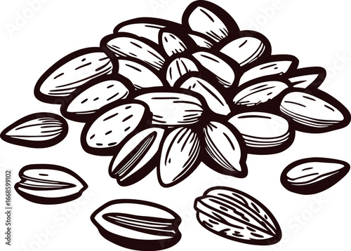 Hand drawn almond nuts in pile and scattered sketch botanical illustration isolated on white background