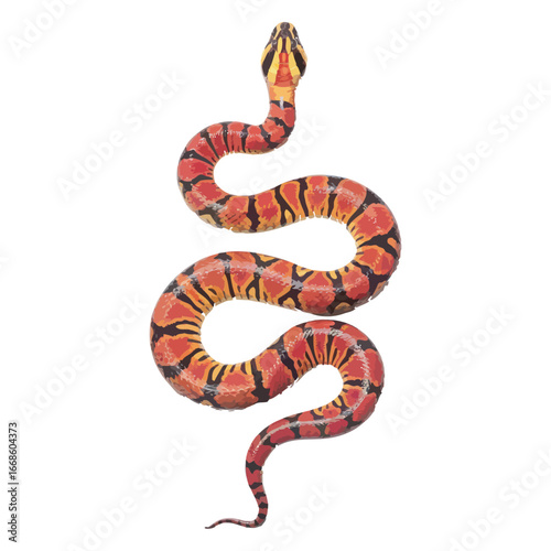 Detailed illustration of a colorful red, orange, and black banded snake. Realistic coiled serpent, a vibrant wildlife vector graphic 