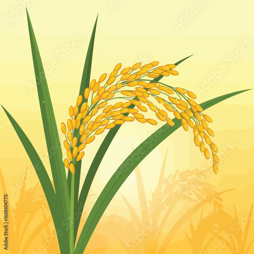 Vector illustration of ripe rice plant with golden grains and green leaves in a field
