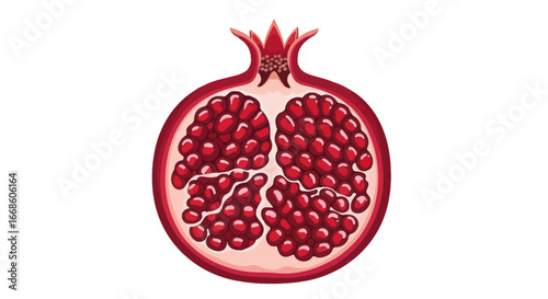 Cross Section of a Ripe Pomegranate Fruit.