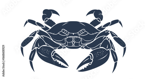 Detailed Illustration of a Crab.