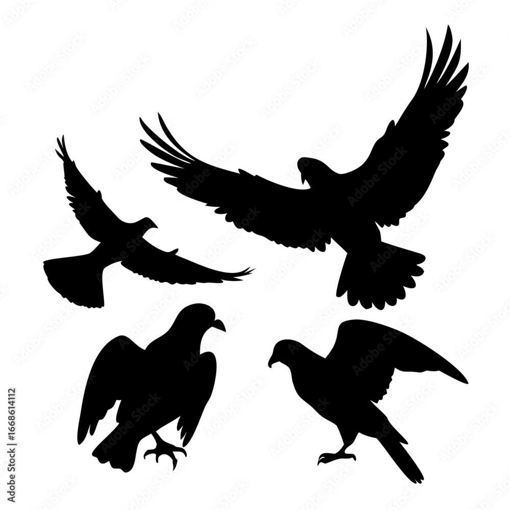 Obraz premium Eagles silhouettes flying, a collection of birds in flight, representing freedom, strength, and the beauty of wildlife
