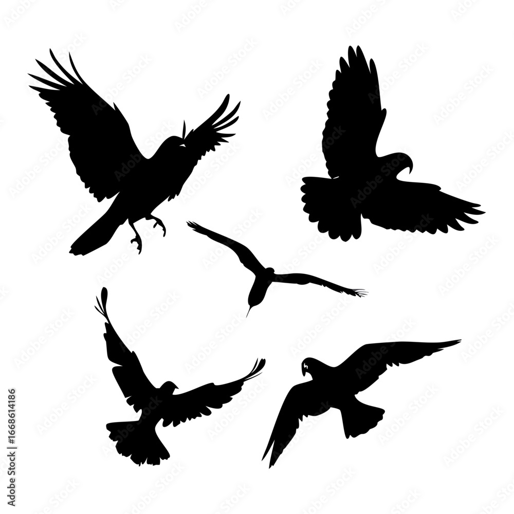 Obraz premium Silhouette of diverse birds in flight, , capturing the essence of freedom and nature in a simple, elegant design