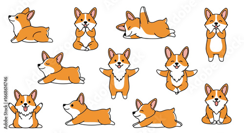 Vector illustration of collection of cute corgi dogs in various poses