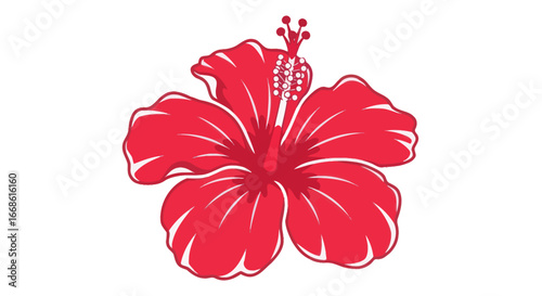 Single Red Hibiscus Flower Close Up.