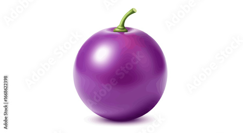 Vibrant single ripe purple grape with green stem.