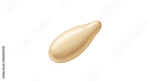 Closeup of a Single Light Beige Seed or Bean.