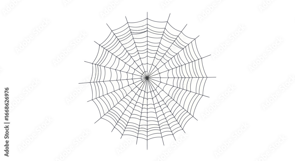 Obraz premium Detailed circular spider web isolated on a clean background.