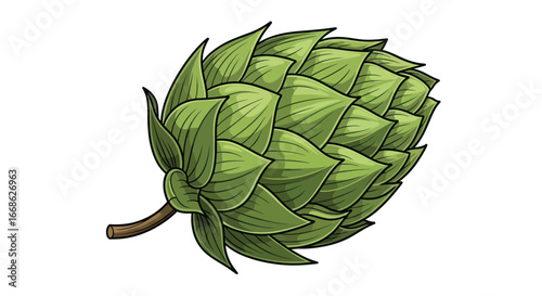 Detailed illustration of a fresh green hop cone for brewing beer.