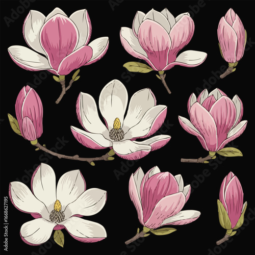 pink water lilies
