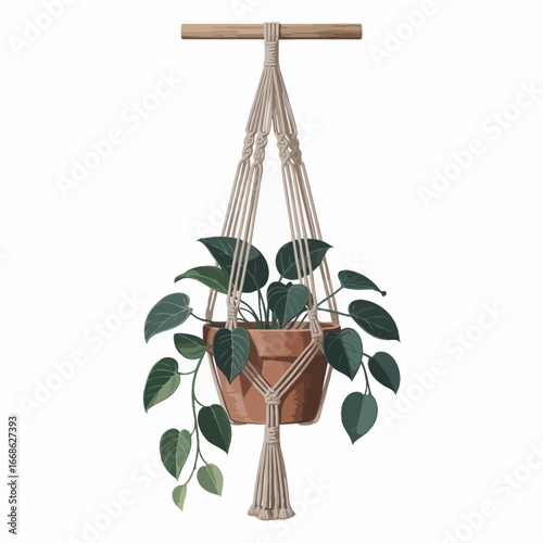 Hanging Potted Plant with Macrame Hanger Isolated on White Home Decor Indoor Gardening Illustration Concept Artistic Design