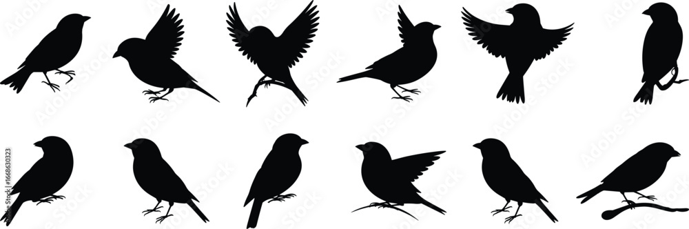 Naklejka premium Bird silhouette collection, flying birds, perched birds, standing birds, black bird shapes, wildlife vector, avian poses, nature illustration, minimal design