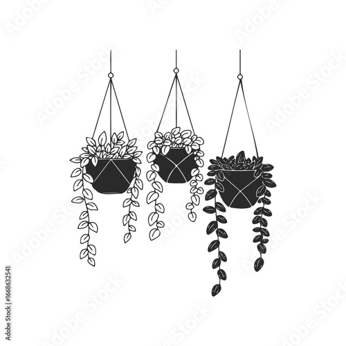 Monochrome hanging plants with geometric planters and long vines