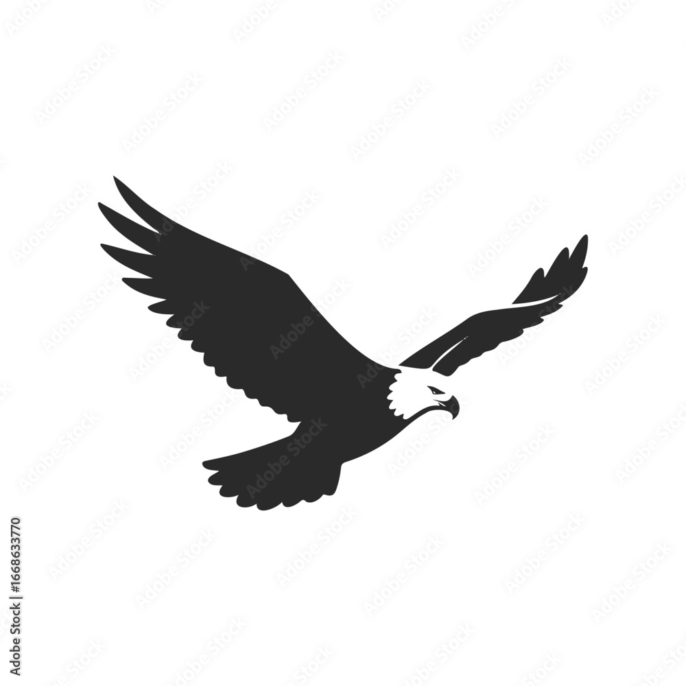 Obraz premium Silhouette of flying bald eagle with outstretched wings on white background