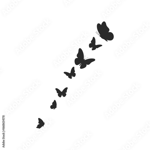 Silhouette of butterflies in ascending flight on white background
