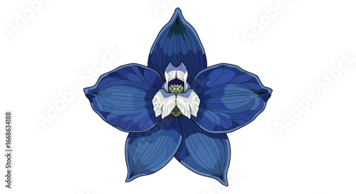 Detailed Blue Delphinium Flower Illustration on White Background.