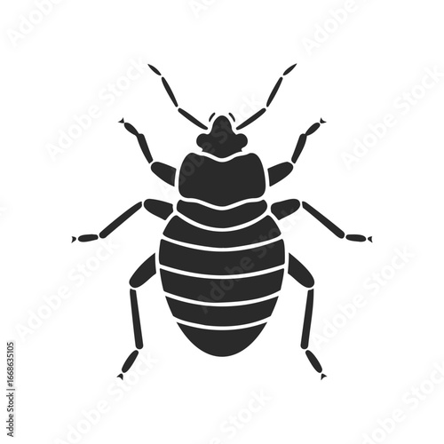 Silhouette of a bed bug on white background detailed insect vector illustration