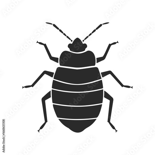 Detailed silhouette of bed bug in black on white background